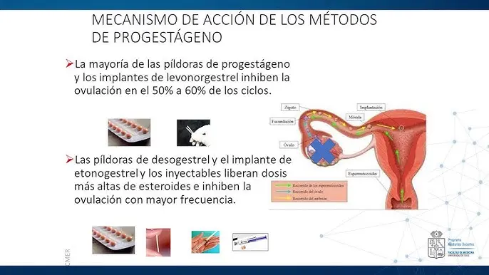 anticonceptivos mecanismo de accion - Cómo actúan los anticonceptivos