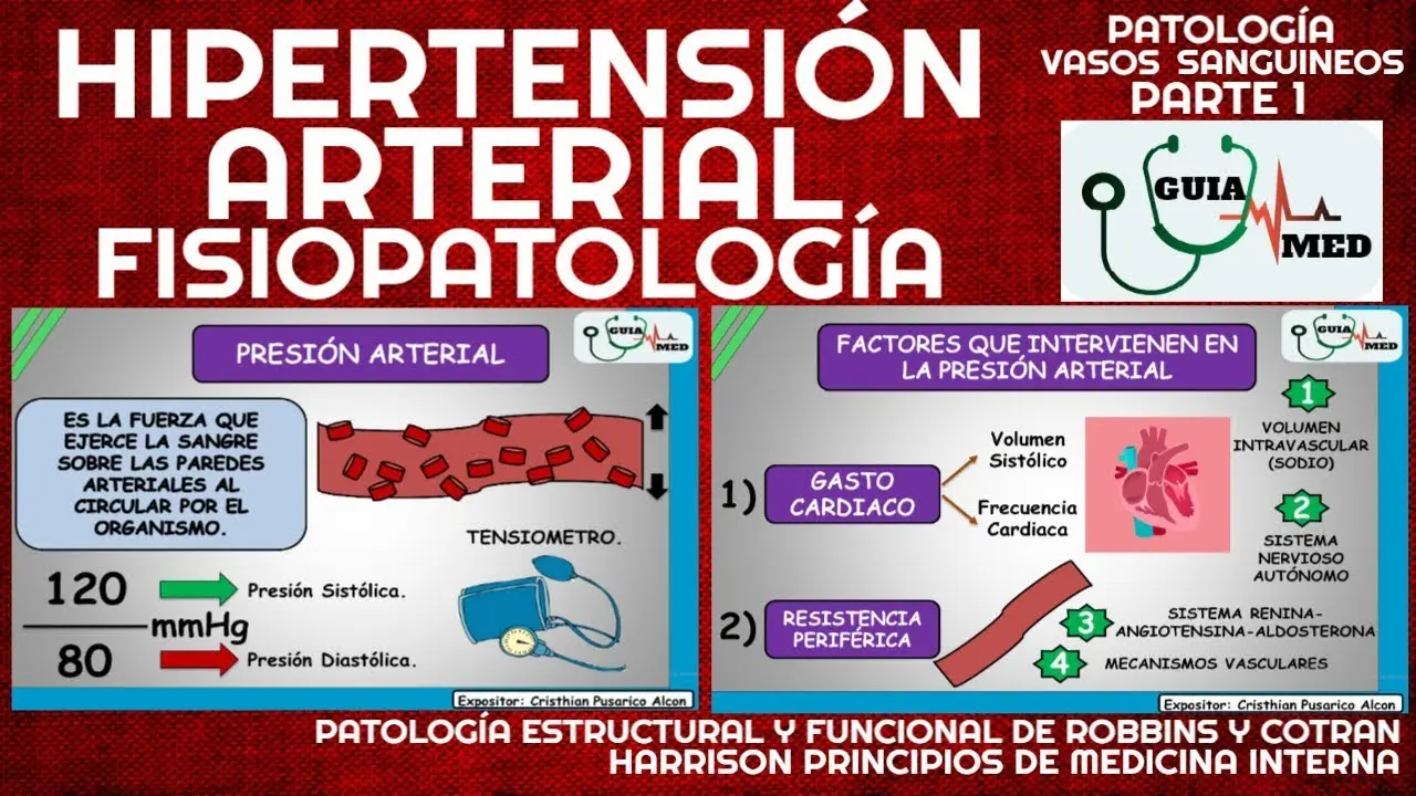 mecanismo de la hipertension arterial - Cómo es el mecanismo de la hipertensión