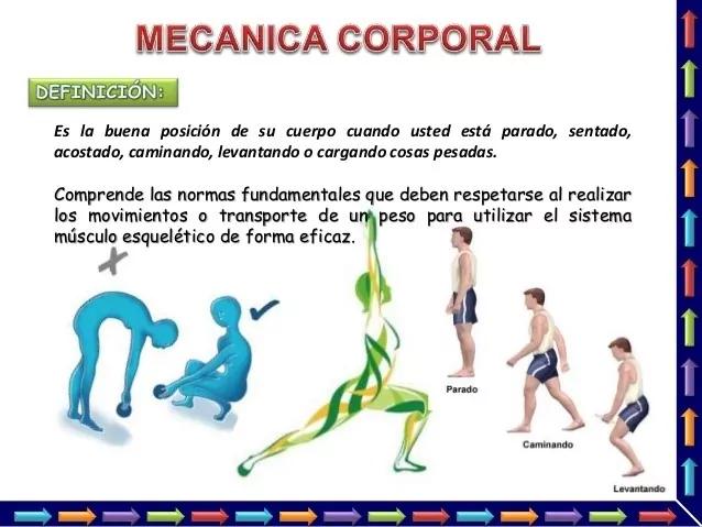 Mecánica corporal: definición, principios y aplicación en el ámbito