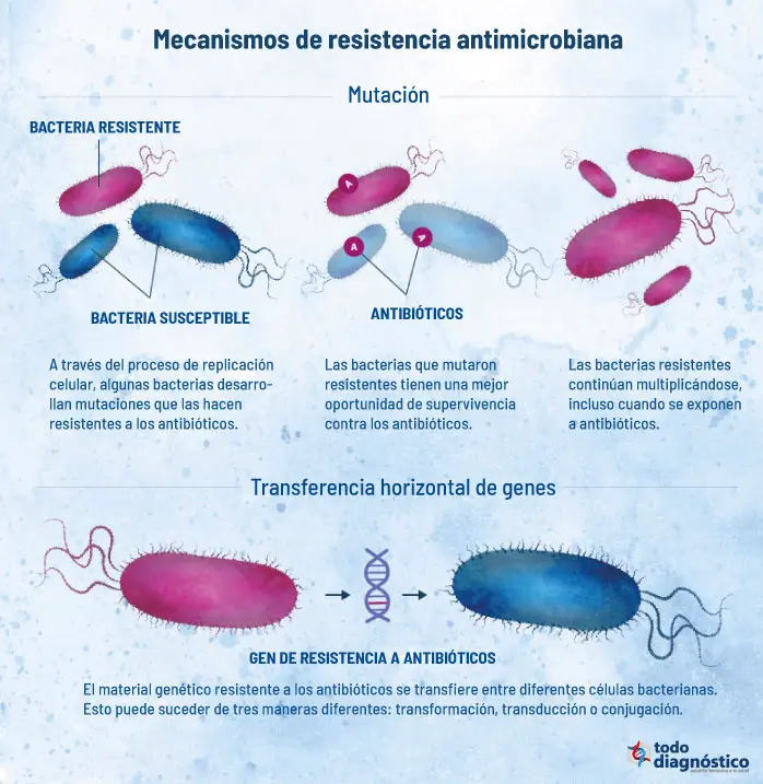 Mecanismos de Resistencia Bacteriana: Un Análisis Exhaustivo - Cuáles son los 5 mecanismos de acción de los antibióticos mecanismos de resistencia bacteriana - Cuáles son los 5 mecanismos de acción de los antibióticos