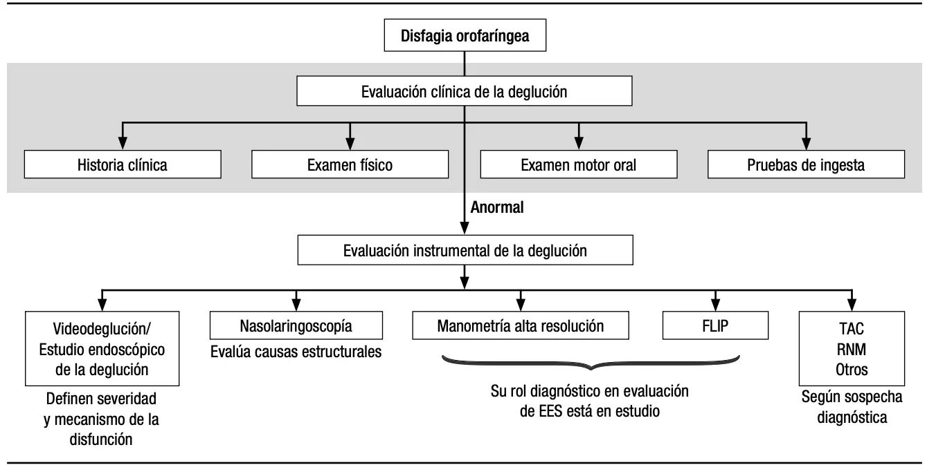disfagia mecanica y motora - Cuántos grados de disfagia hay