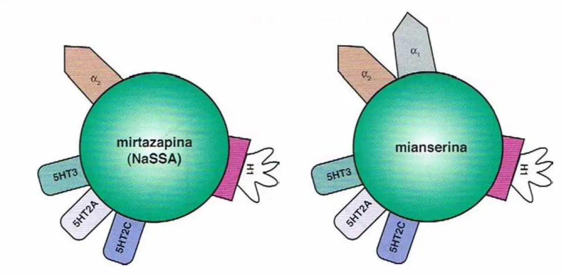 Mianserina: Mecanismo de Acción, Efectos y Usos - La mianserina aumenta la serotonina mianserina mecanismo de accion - La mianserina aumenta la serotonina
