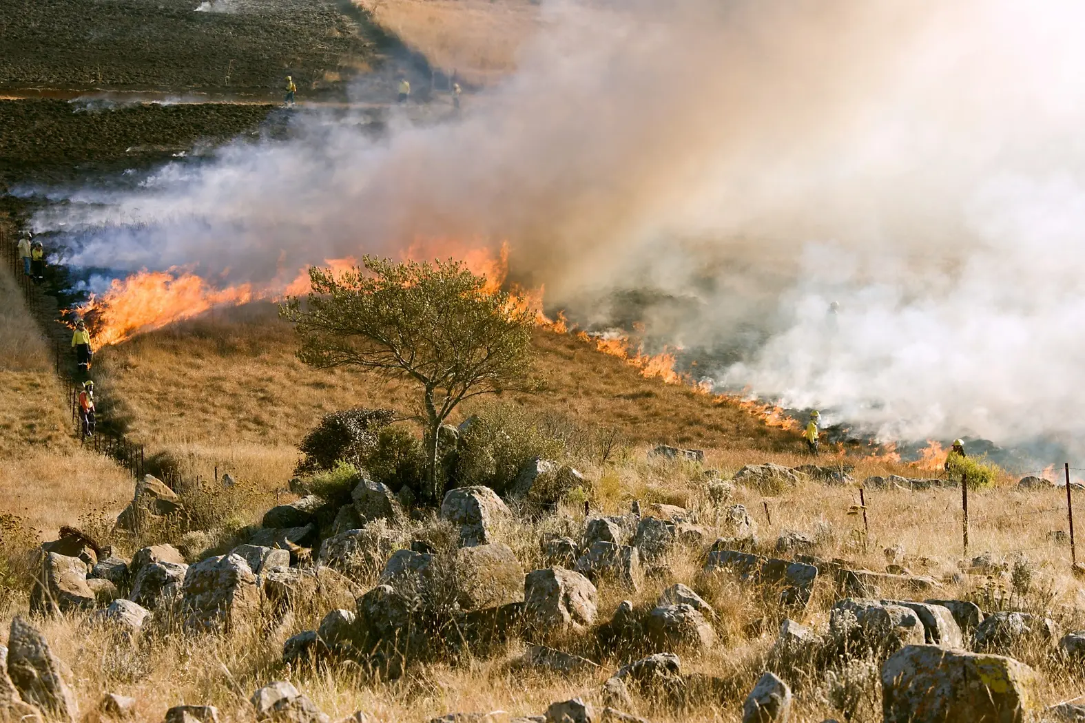 Desbroce Mecánico vs. Desbroce Químico de Caminos: Una Comparativa Completa - Qué es un desbroce forestal desbroce mecanico vs desbroce quimico de caminos - Qué es un desbroce forestal