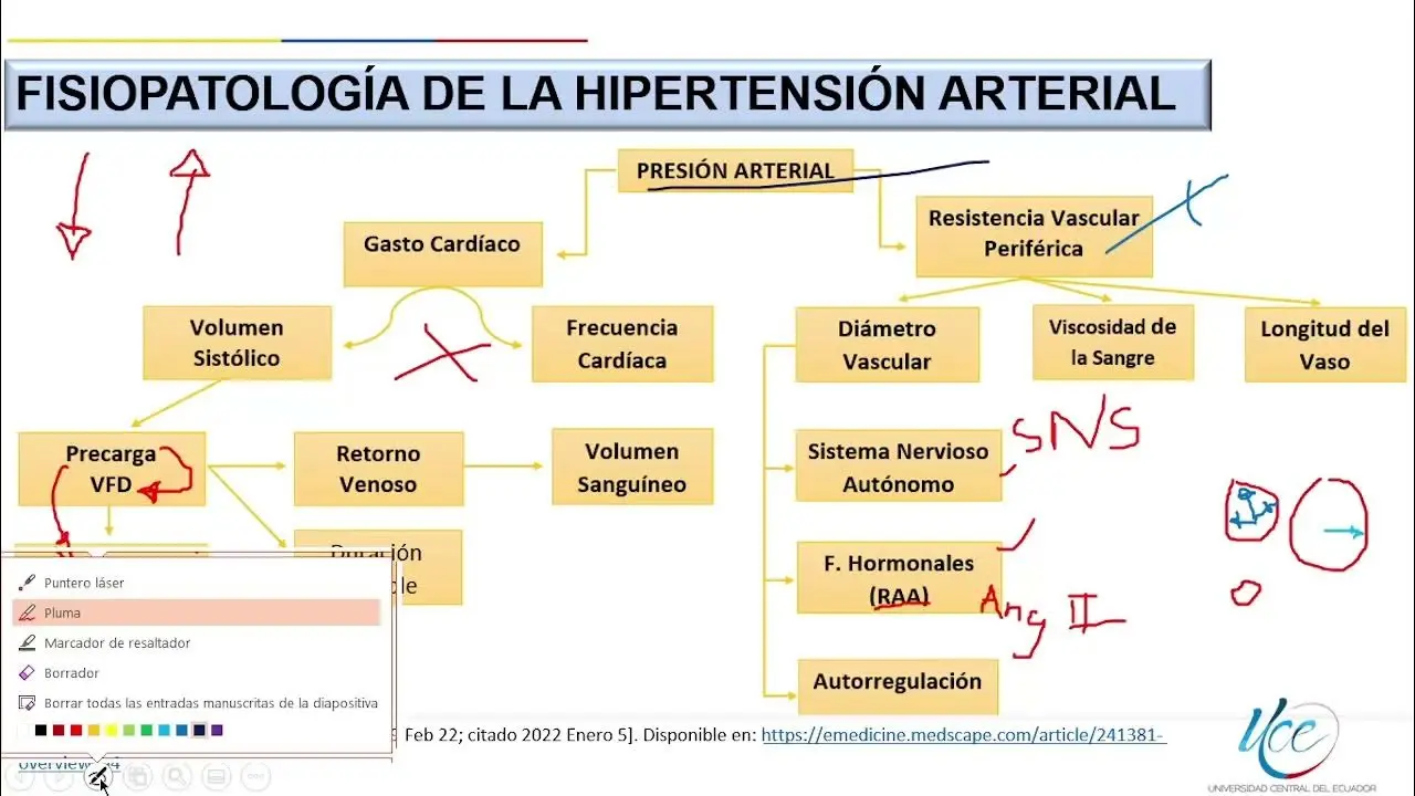 mecanismo de la hipertension arterial - Qué factores causan la hipertensión arterial
