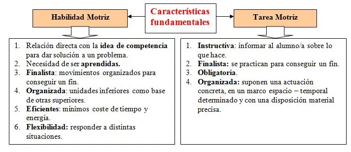 Cualidades Físicas y Psicomotrices de un Mecánico: Un Análisis Completo - Qué son las cualidades físicas y motrices cualidades fisicas y psicomotrices de un mecanico - Qué son las cualidades físicas y motrices